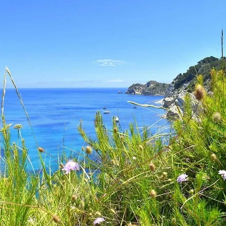 Alpehytte Casa Christine *
